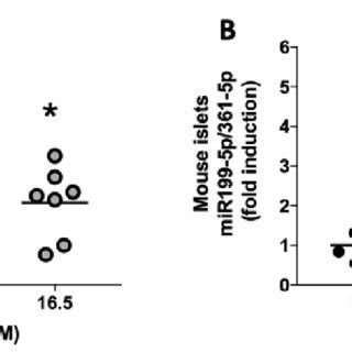 Calcium Influx Induces PrimiR 199a2 Promoter Activity And Mature MiRNA