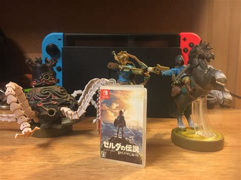 Amazon Zelda Breath Of The Wild Case Guluconsult