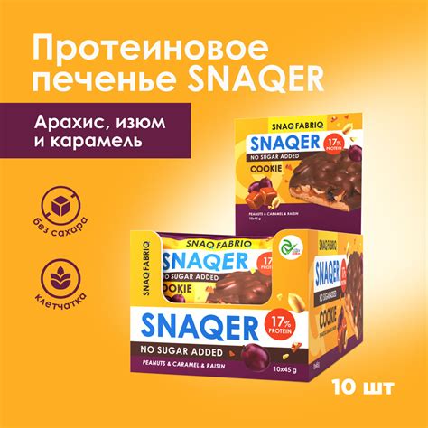 SNAQ FABRIQ / SNAQER Протеиновое печенье в шоколаде "Арахис, изюм и ...