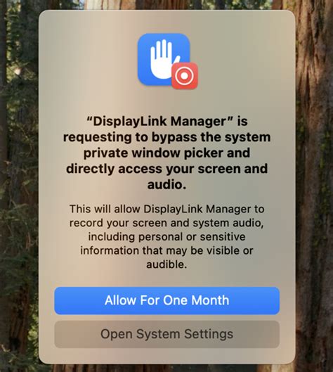 I Installed The DisplayLink Manager Application On My Mac Running MacOS