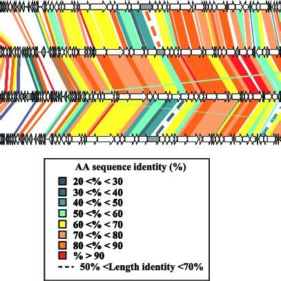 Alignment Of Genome Maps Of Phages JS98 T4 And RB69 The ORFs Are