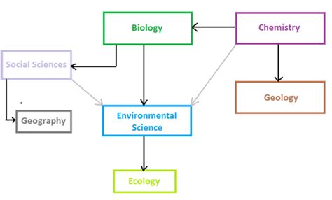 Enviromental Science Flashcards Quizlet