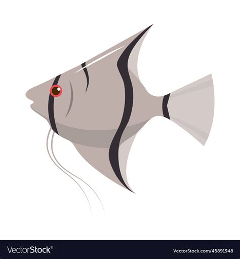 Exotic Fish Icon Royalty Free Vector Image Vectorstock