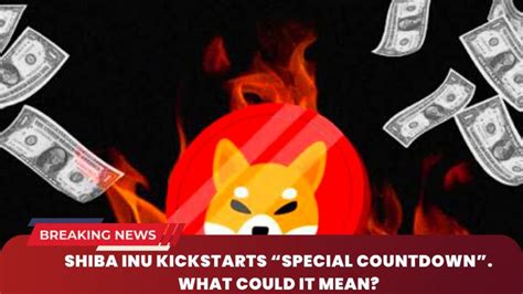 Shiba Inu Kickstarts Special Countdown What Could It Mean