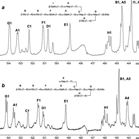 Anomeric Region H Nmr Spectra In D O Hod Of Core Os Anomeric