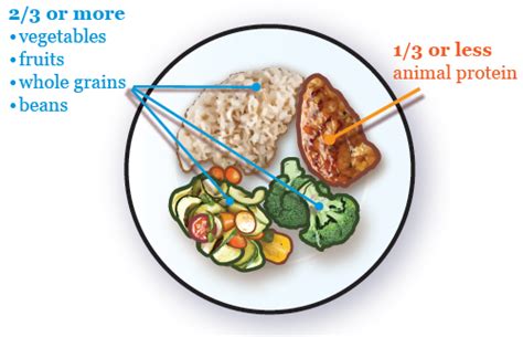 Diet Chart For Cancer Patients A Visual Reference Of Charts Chart Master