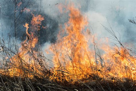 Museum Wildfire Update: Flagstaff, Coconino County Fire Map, Arizona Blaze Engulfs 1,800 Acres ...