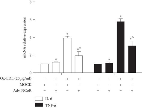 Ncor Overexpression Inhibited The Ox Ldl Induced Inflammatory Response