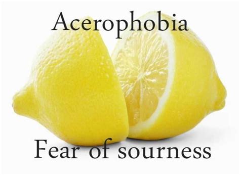 Acerophobia Interesting Facts About Phobias 24 Infographics