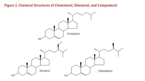 Phytosterols Linus Pauling Institute Oregon State University