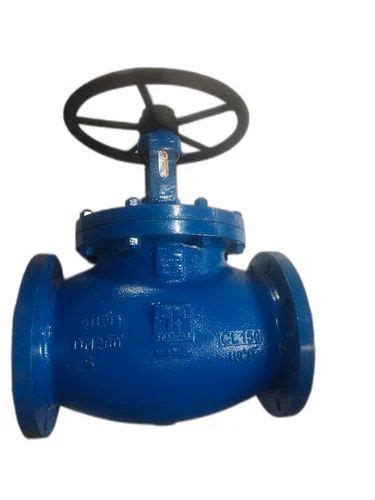 Cast Iron Bellow Seal Globe Valve At 10000 Piece In Thane ID