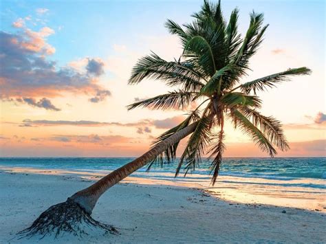 19 Best Tulum Beach Clubs For Sun Fun In 2024 Tulum Travel Secrets