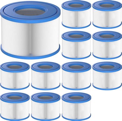 Amazon Intex 29011E Type S1 PureSpa Easy Set Pool Spa Hot Tub Filter Replacement