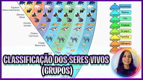 Sistema De Classifica O Dos Seres Vivos Categorias Taxon Micas Youtube