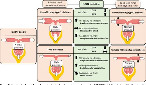 Table 3 From The Renal Hemodynamic Effects Of The SGLT2 Inhibitor