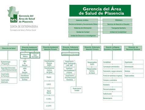 Ética Legislación Y Gestión Organigrama Hospital Plasencia