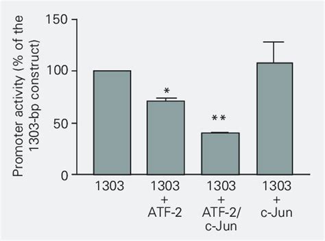 Atf 2 Inhibits The 1303bp Angiotensin Converting Enzyme Ace Promoter