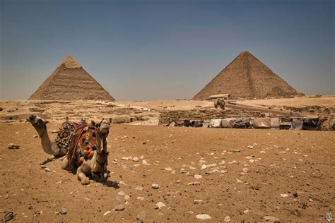 Lugares Imprescindibles Que Ver En El Cairo Los Viajamundos