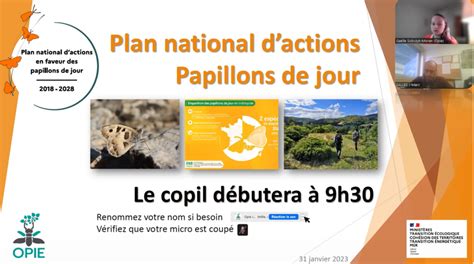 Plan National Dactions En Faveur Des Papillons De Jour Le Comité De