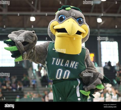 New Orleans, USA. 25th Feb, 2024. Tulane Green Wave mascot Riptide walks across the court during ...