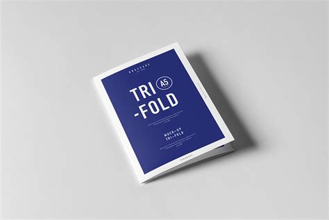 Tri Fold A5 Brochure Mock Up Behance