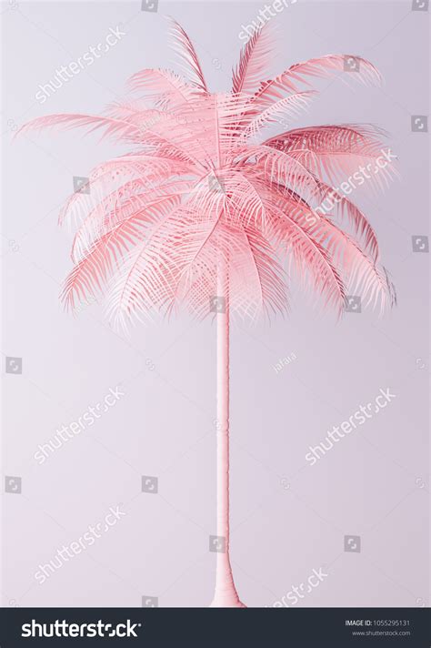 79,654 Palm trees pink background Images, Stock Photos & Vectors | Shutterstock