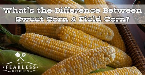 The Difference Between Sweet Corn And Field Corn