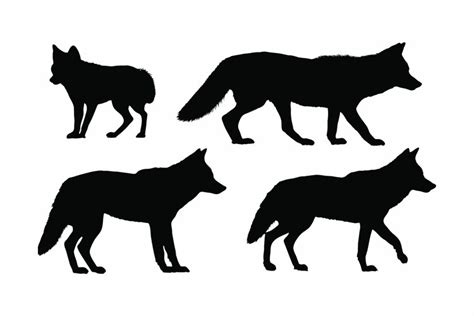 Coyote standing silhouette set vector