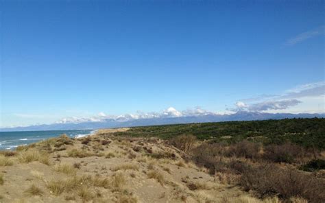 Escursione A San Rossore Fino Al Mare Parco San Rossore