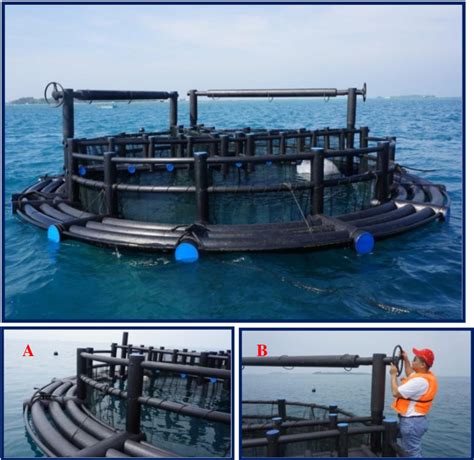 Figure From The Application Of Integrated Multi Trophic Aquaculture