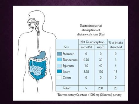 Calcium & phosphorus metabolism and its applied aspects