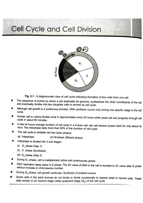 SOLUTION Cell Cycle Division Labelled Diagrams Neet Studypool