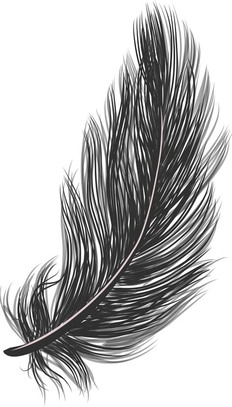 Bird Feather Isolated Fluffy Feather 21514245 PNG