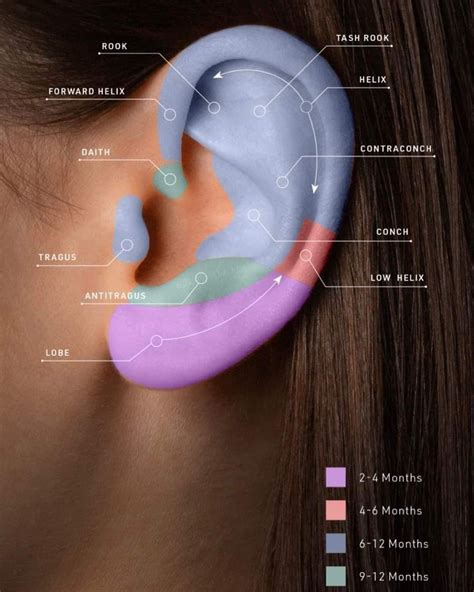 Piercing Ideas Artofit