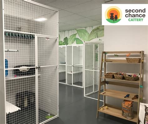 Boarding Cattery Second Chance Animal Rescue