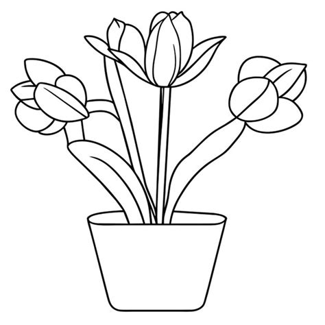 Cultivar Tulipanes En Una Olla Para Colorear Abre Una Nueva Pesta A