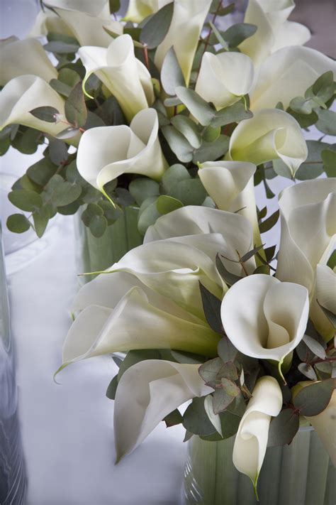 Table Decoration Detail Callas And Eukalyptus Arrangements Wedding