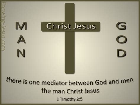 36 Bible verses about Mediator