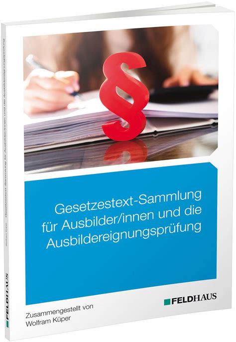 Handlungsfeld Ausbildung E Book Feldhaus Verlag