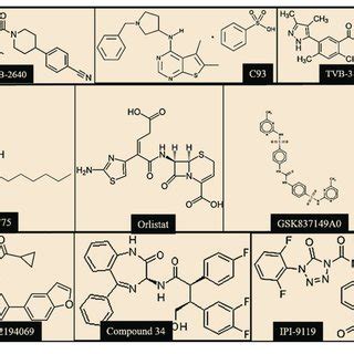 Simplified Representation Of De Novo Lipogenesis In The Tumor Cell