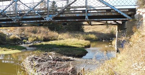 A Steel Bridge Built Over A Stream River Free Stock Video Footage