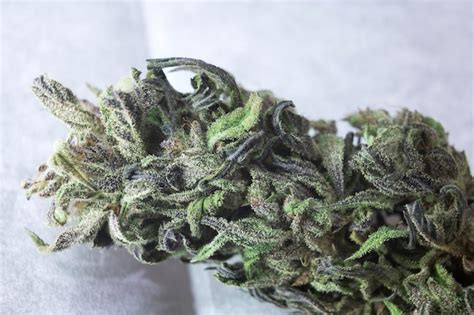 Premium Photo Cannabis Bud Weed Strains