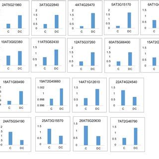 Verification Of Gene Expression By Qrt Pcr The Relative Expression