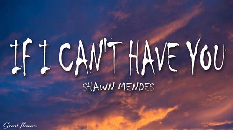 Shawn Mendes If I Cant Have You Lyrics Youtube