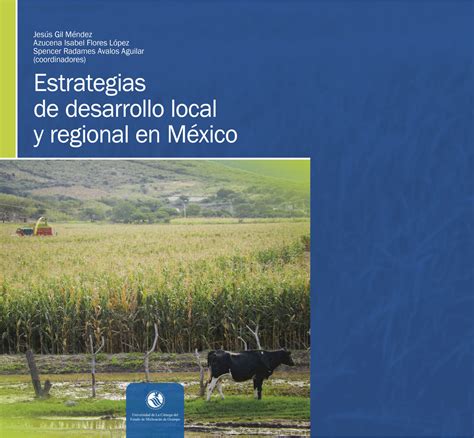 Estrategias De Desarrollo Local Y Regional En M Xico