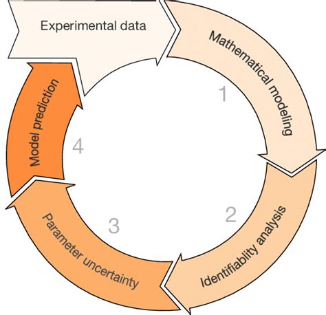 Mathematical Modeling Approach From An Experimental Data Set