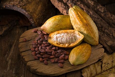 Cacao Fruit Raw Cacao Beans Cocoa Pod On Wooden Background Stock