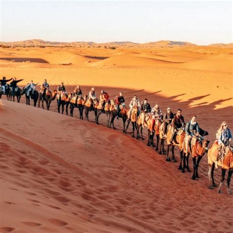 12 Days Tour To Desert And Coast Imperial Cities From Casablanca Top