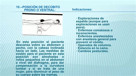 Posiciones Corporales B Sicas Pptx