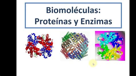 As Enzimas Correspondem A Uma Classe De Proteinas REVOEDUCA